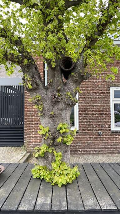 Puur Eastermar - Monumentaal, Authentiek En Luxe Koetshuis Aan Open Vaarwater Met Jacuzzi En Sauna Oostermeer Extérieur photo